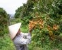 IMG_20261027_152846